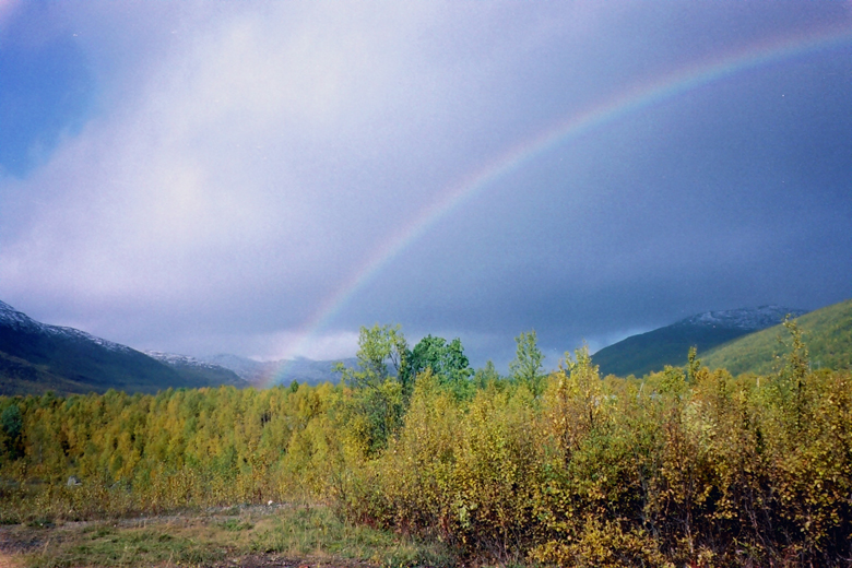 QD0021013