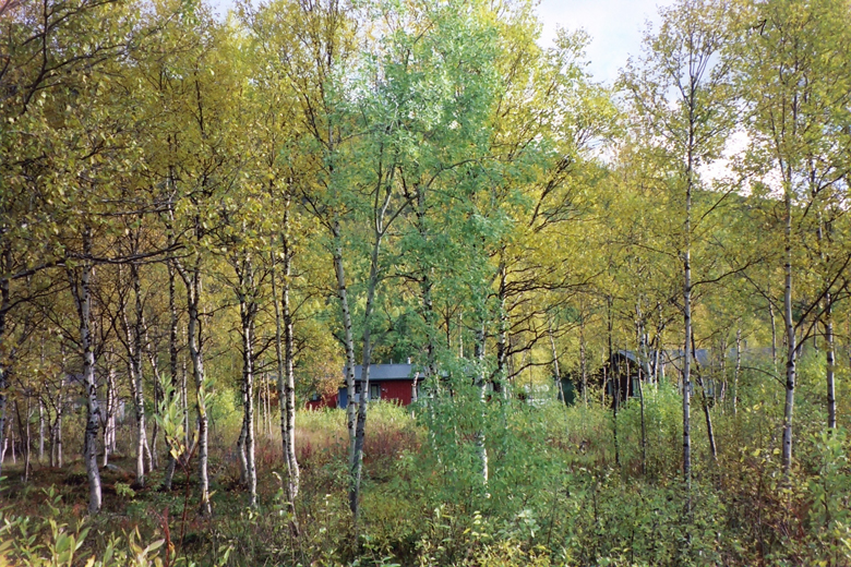 QD0021013b