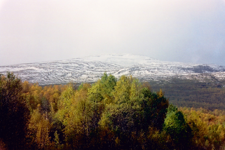 QD0021014