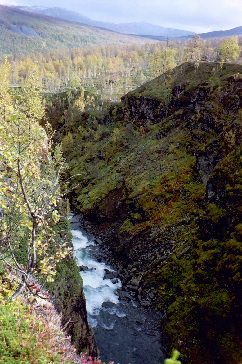 QD0021015