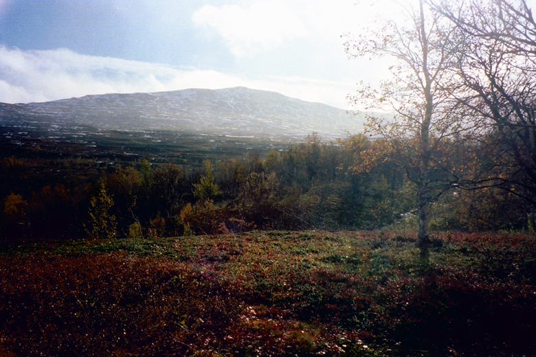 QD0021018