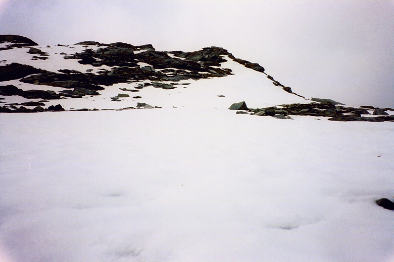 QD0021022