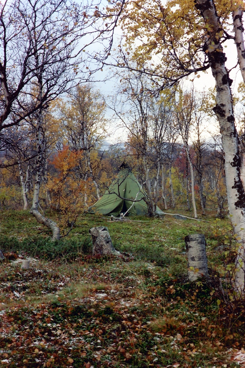 QD0021032