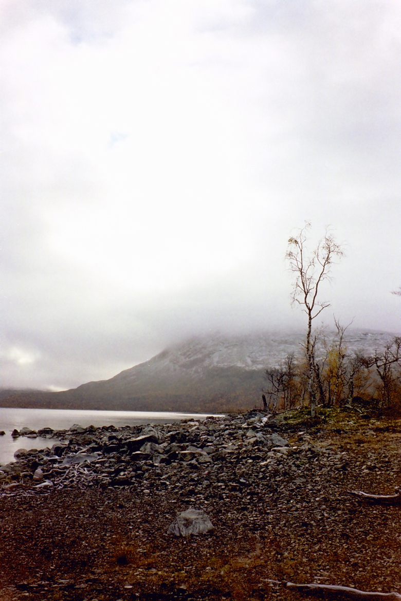 QD0021033